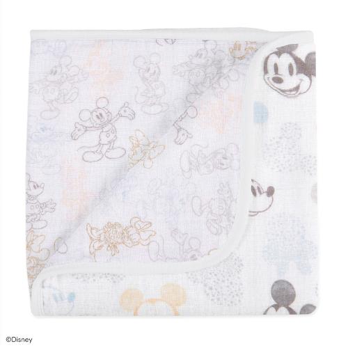 ブランケット／ミッキー＋ミニー／ベビーカーサイズ