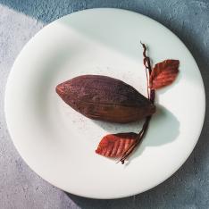 【来店予約／日本橋店／1月29日（木）】＜浅井 拓也氏＞100％Cacao（ソンポーソンカカオ）