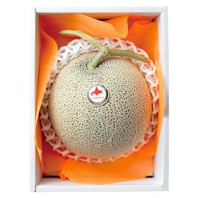 【収穫状況に応じ、順次発送予定】〈北海道〉ノースランドレッドメロン