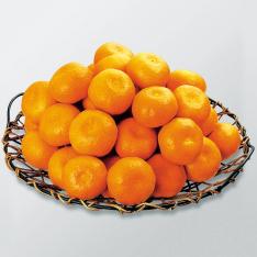 〈日本橋 千疋屋総本店〉蜜柑詰合せ【最適な時期に収穫し、順次発送予定】