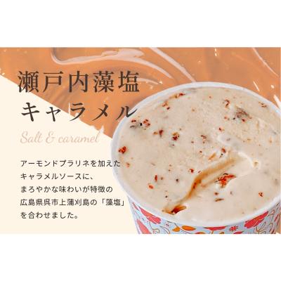 【よりどり】NINIKINE 瀬戸内藻塩キャラメル