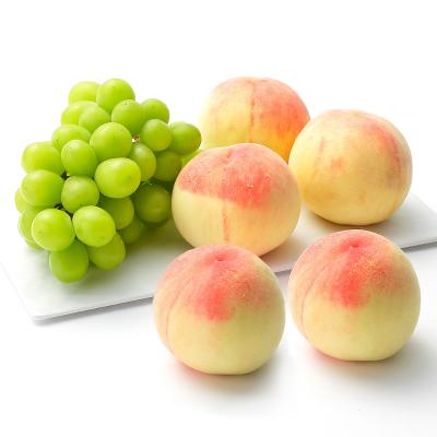 フルーツ・野菜