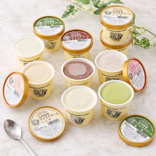 アイスクリーム10個セット