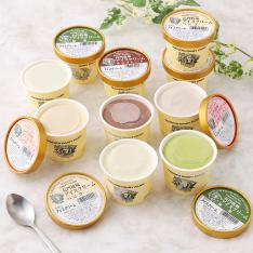 アイスクリーム10個セット