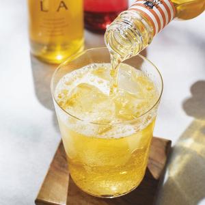 〈ノースファームストック〉炭酸ドリンクセット　　
