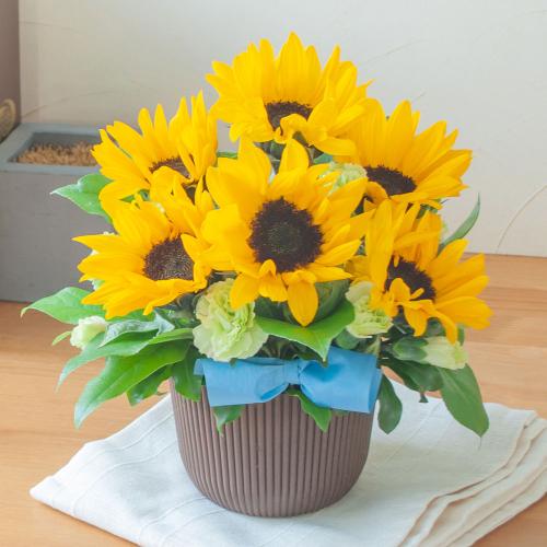 【父の日】Merci Pere（メルシーペール）