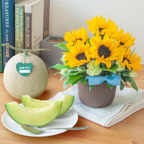 【父の日】Merci Pere（メルシーペール）＆＜ホソカワ＞メロンセット