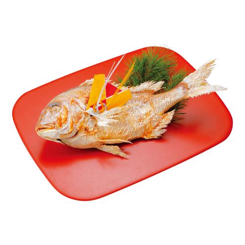 祝鯛(W442)<関西・岡山・鳥取・島根地域お届け>384429