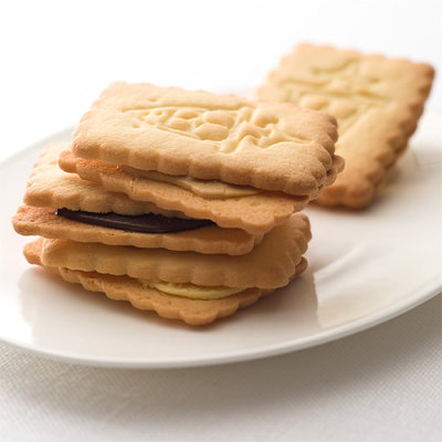 ビスカウト　27枚入