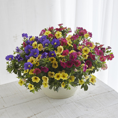 高島屋オンラインストア