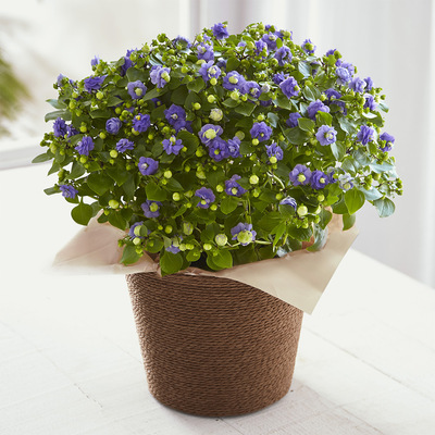 高島屋オンラインストア