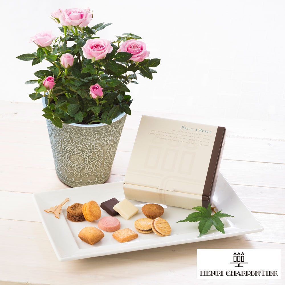 生花ﾐﾆﾊﾞﾗﾋﾟﾝｸ ｱﾝﾘ ﾌﾟﾃｨ ﾀ ﾌﾟﾃｨ 商品詳細 高島屋オンラインストア