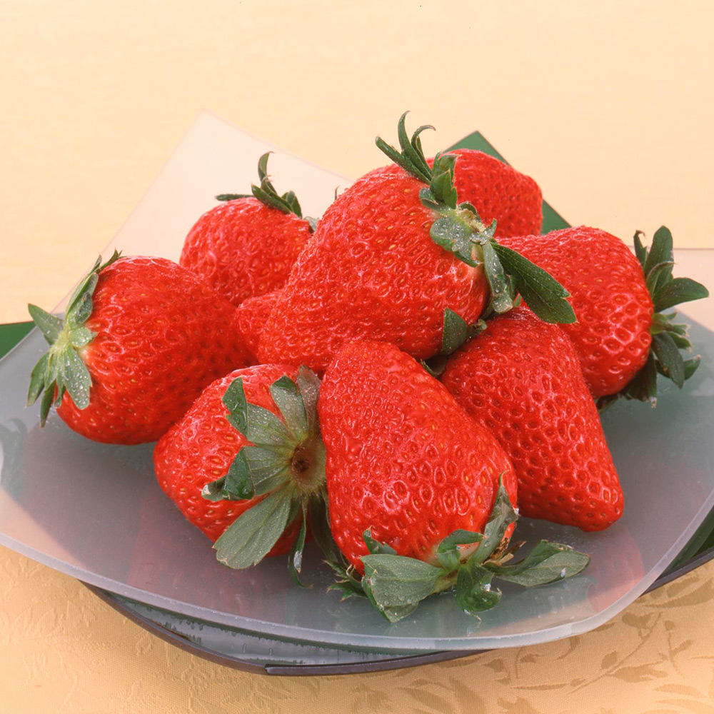 JAふじ伊豆 紅ほっぺ800g