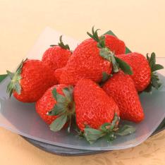 JAふじ伊豆 紅ほっぺ800g