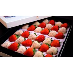 宮崎完熟「紅白苺」歌舞伎ギフトBOX