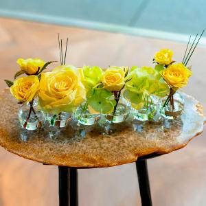 EMILIO ROBBA（エミリオ・ロバ） | ローズ | リビング・ホビー