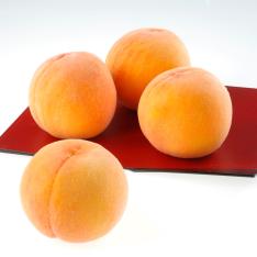 【収穫状況に応じ、順次発送予定】山形県産 黄金桃2kg <O-3>