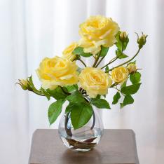 プリマローズye-L