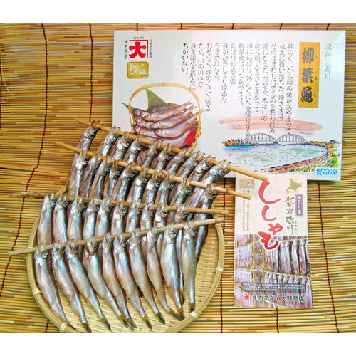 生干ししゃもオスメスセット