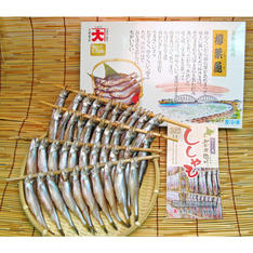 生干ししゃもオスメスセット