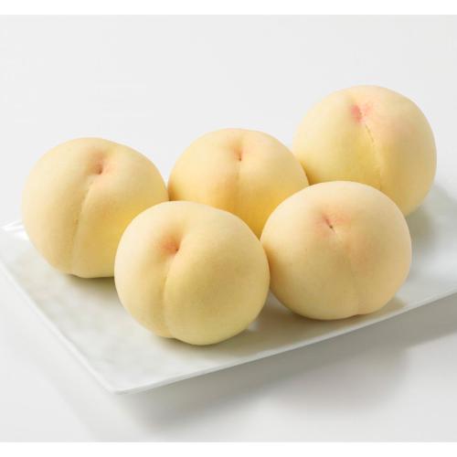 【収穫状況に応じ、順次発送予定】白皇　5玉
