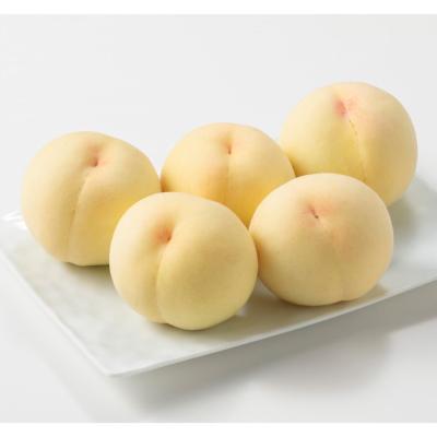 【収穫状況に応じ、順次発送予定】白皇 5玉