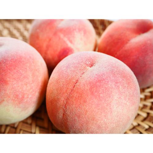 【収穫状況に応じ、順次発送予定】福島県産　ゆうぞら（桃）