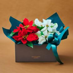 生花 紅白ポイン合戦