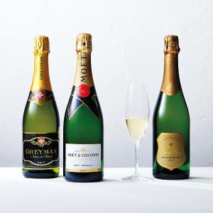 大幅値下げ中】〈シャンパーニュ ティエノー〉ラ ヴィーニュオー