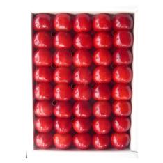 【母の日】山形県産さくらんぼ