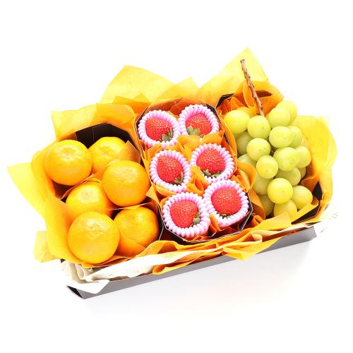 【最適な時期に収穫し、順次発送予定】［シャインマスカット・いちご・みかん］旬のフルーツギフト11A