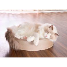 ガリガリスイート ディッシュ