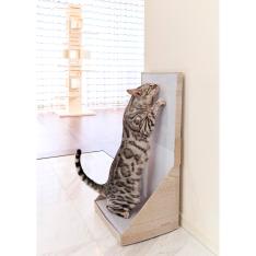 ガリガリスイート ウォール