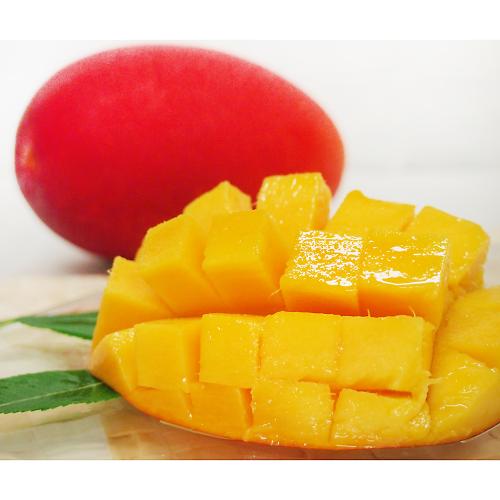 【母の日】宮崎県産マンゴー