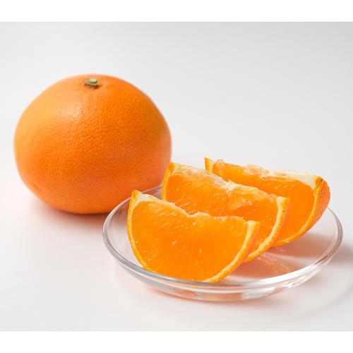 【最適な時期に収穫し、順次発送予定】紅まどんな（10～12玉）2.0kg