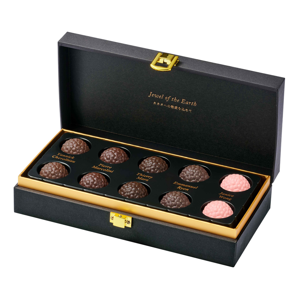 【バレンタインデー】スター シェフ コレクション ジュエル オブ ジ アース 10粒入