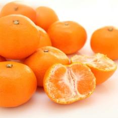 【ご自宅用】愛媛県産「媛一みかん」3kg