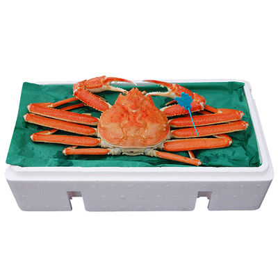 マルワ渡辺水産 フード スイーツ 高島屋オンラインストア マルワ渡辺水産 フード スイーツ 高島屋オンラインストア