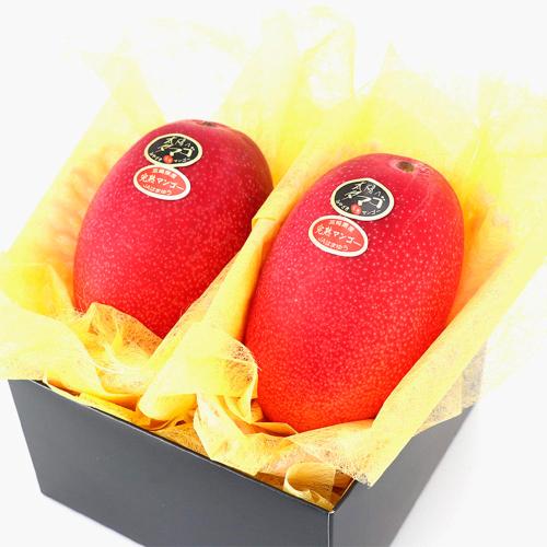 太陽のタマゴ 2玉入＜宮崎県産完熟マンゴー＞