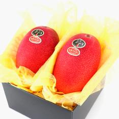 太陽のタマゴ 2玉入＜宮崎県産完熟マンゴー＞