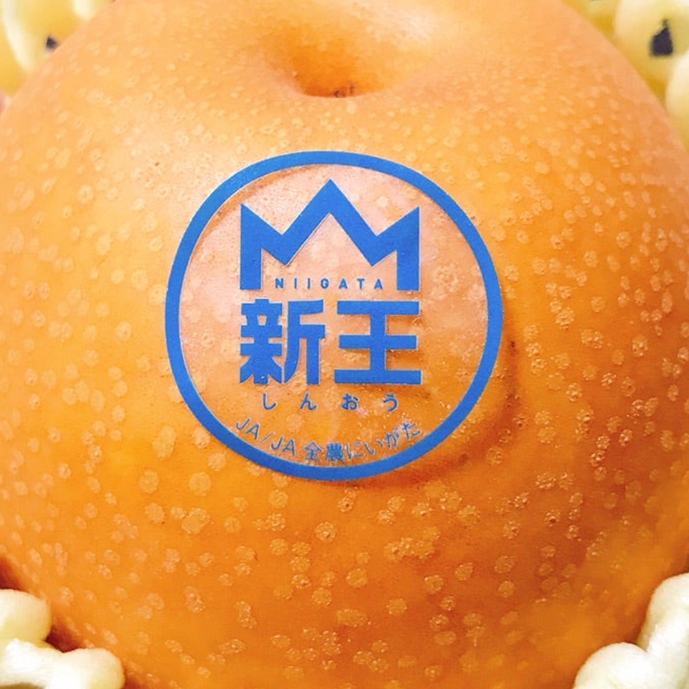 新潟県産梨 新王梨(しんおうなし) 3㎏