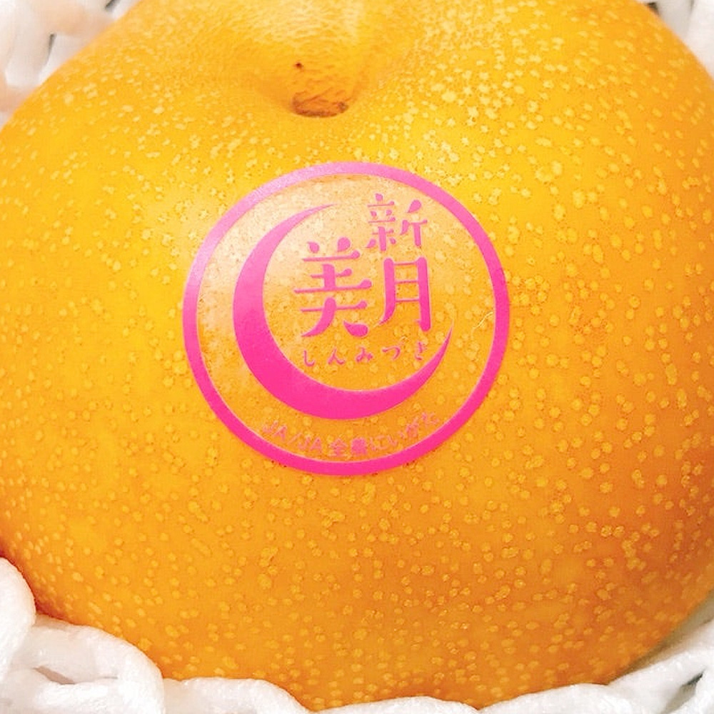 新潟県産 新美月梨(しんみづきなし) 3㎏