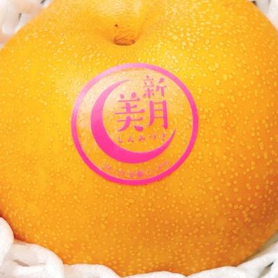 新潟県産 新美月梨(しんみづきなし) 3㎏