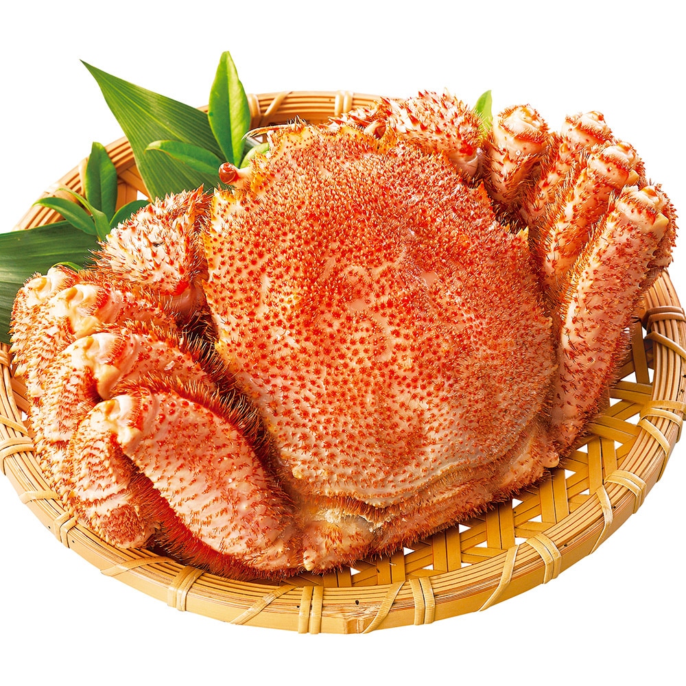 北海道産 毛がに900g（特大）