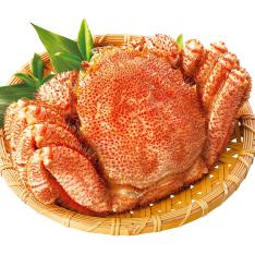 北海道産 毛がに900g（特大）