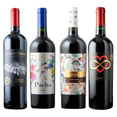 カリスマ醸造家のワインを堪能する　赤ワイン4本セット