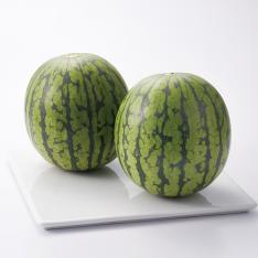 ＜山形県＞小玉すいか