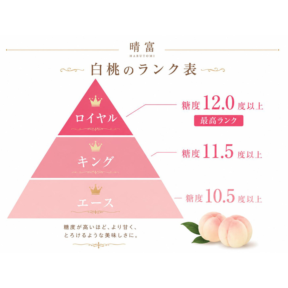 最適な時期に収穫し、順次発送予定】岡山産清水白桃「極究頂」6玉（桐