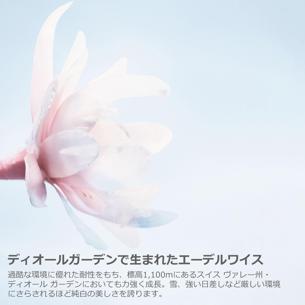 数量限定】ディオール スノー エッセンス ホリデー（限定品） | 商品  