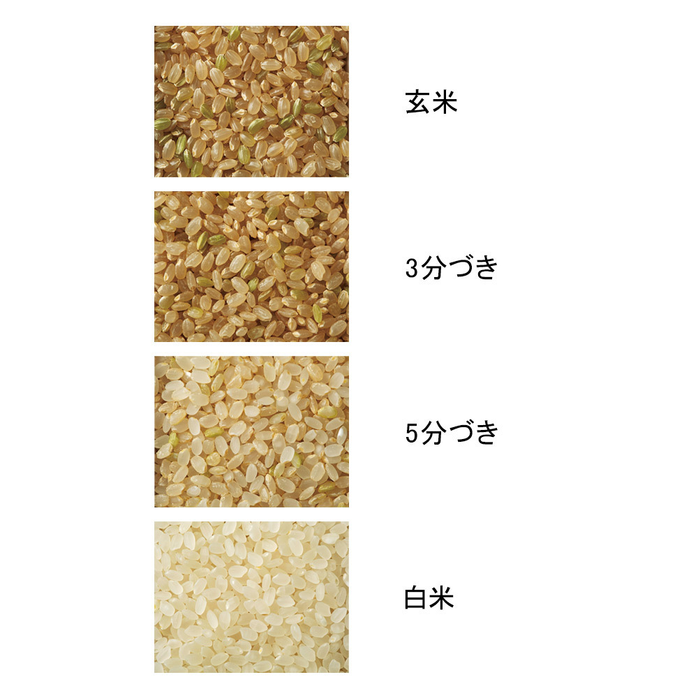岐阜県産 トキ 龍の瞳生産組合 年産特別栽培龍の瞳 商品詳細 高島屋オンラインストア 岐阜県産 トキ 龍の瞳生産組合 年産特別栽培龍の瞳 商品詳細 高島屋オンラインストア